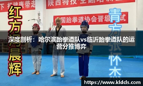 深度剖析：哈尔滨跆拳道队vs临沂跆拳道队的运营分推博弈